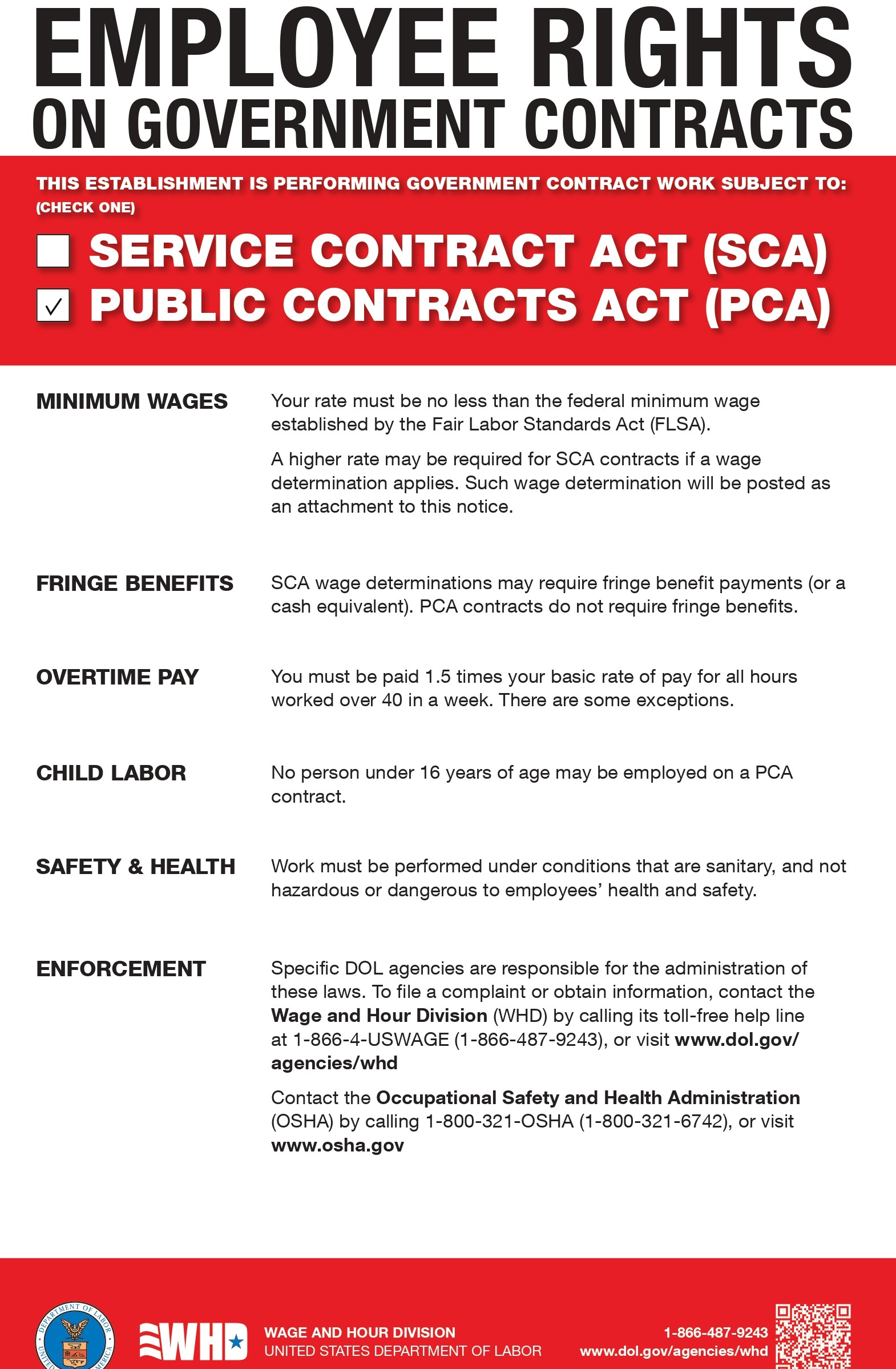 Government Contracts Flyer